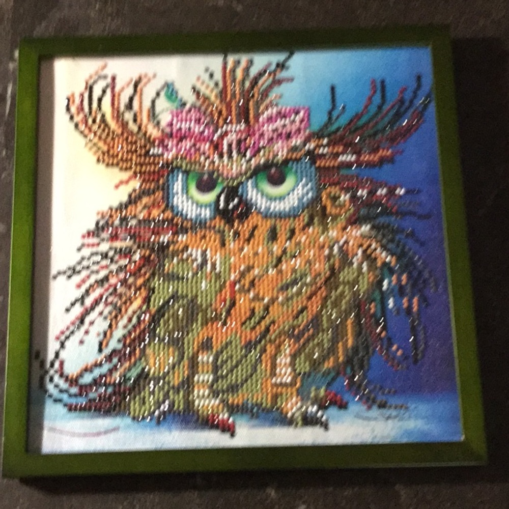 Owl “Having a Bad Day”